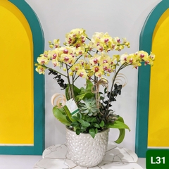 L31 Thiết kế Sang Trọng