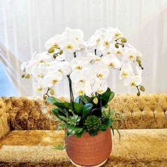 L11 Thiết kế Sang Trọng