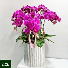 L20 Thiết kế Hiện Đại