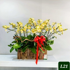 L21 Thiết kế Hiện Đại