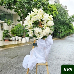 KB9