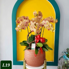 L19 Thiết kế Hiện Đại