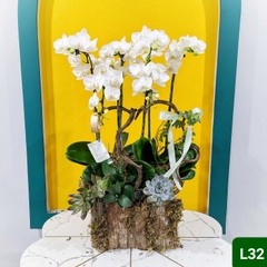 L32 Thiết kế Sang Trọng