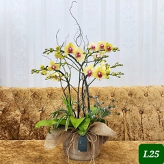 L25 Thiết kế Sang Trọng
