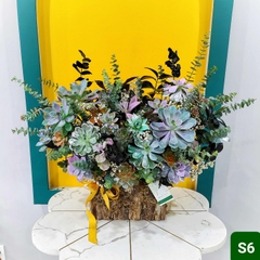 S6