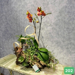 L202