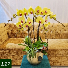 L17 Thiết kế Sang Trọng