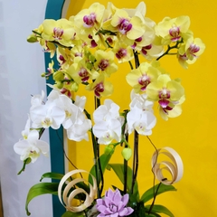 L37 Thiết kế Sang Trọng