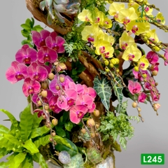 L245