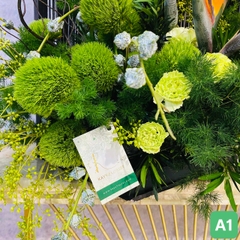 A1
