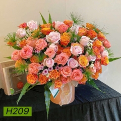 H209