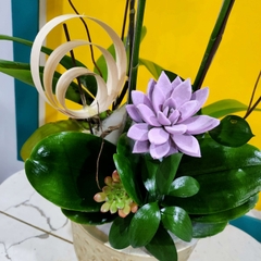 L37 Thiết kế Sang Trọng