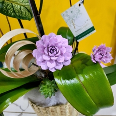 L36 Thiết kế Sang Trọng
