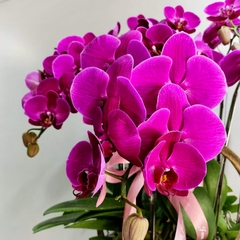 L20 Thiết kế Hiện Đại