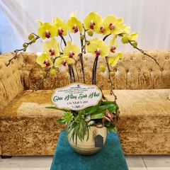 L17 Thiết kế Sang Trọng