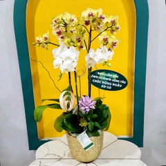 L37 Thiết kế Sang Trọng