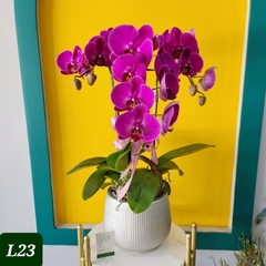 L23 Thiết kế Hiện Đại