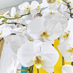 L34 Thiết kế Sang Trọng