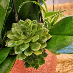L11 Thiết kế Sang Trọng