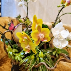L15 Thiết kế Sang Trọng