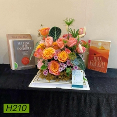 H210