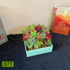 S71