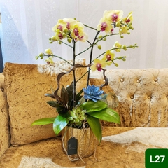 L27 Thiết kế Sang Trọng