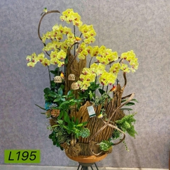 L195