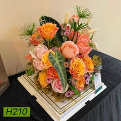 H210