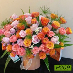 H209
