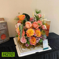 H210