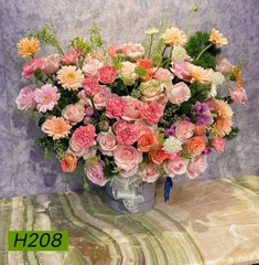 H208