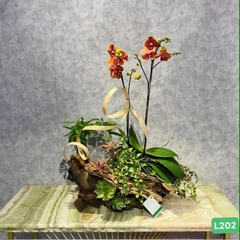 L202