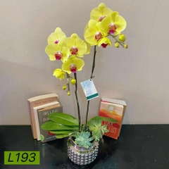 L193