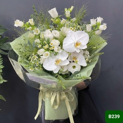 B239