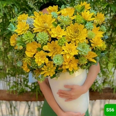 S56