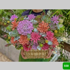 S58