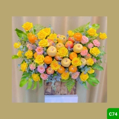 C74