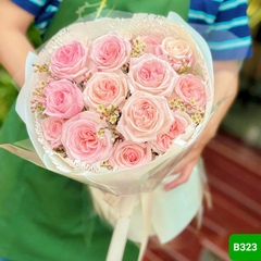 B323