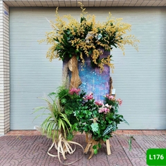 L176