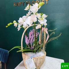 L177