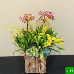 L164