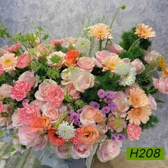 H208
