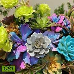 C81