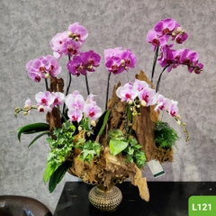 L121