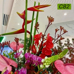 C82