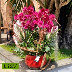 L197