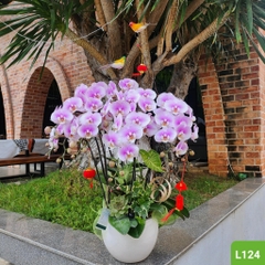 L124