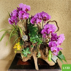 L133