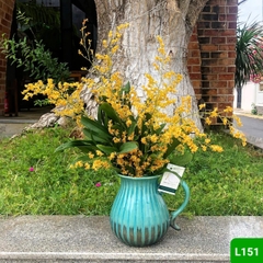 L151